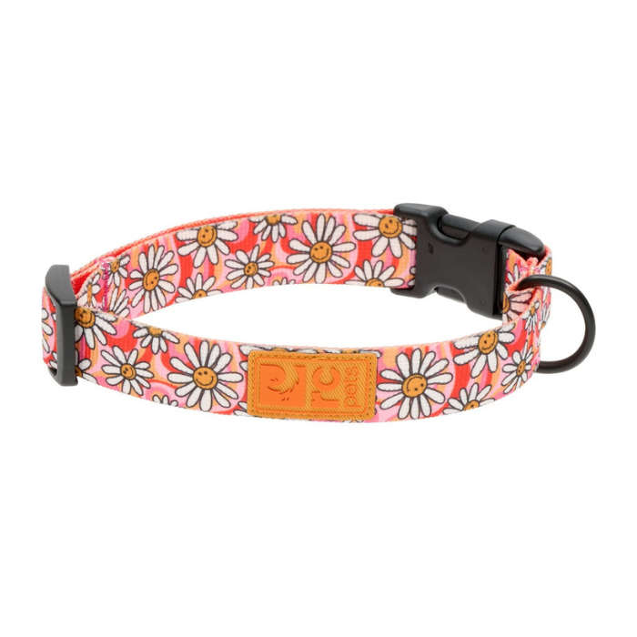 Rc Pets collier Collier à clip écologique pour chien RcPets Joie de marguerite Collier à clip écologique pour chien RcPets Joie de marguerite