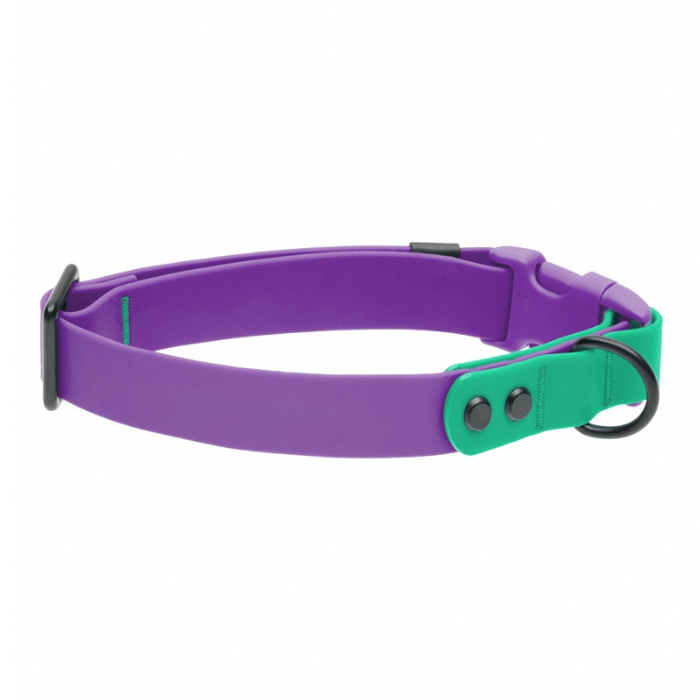 Rc Pets collier Collier à clip imperméable pour chien RcPets Mauve/Perruche Collier à clip imperméable pour chien RcPets Mauve/Perruche