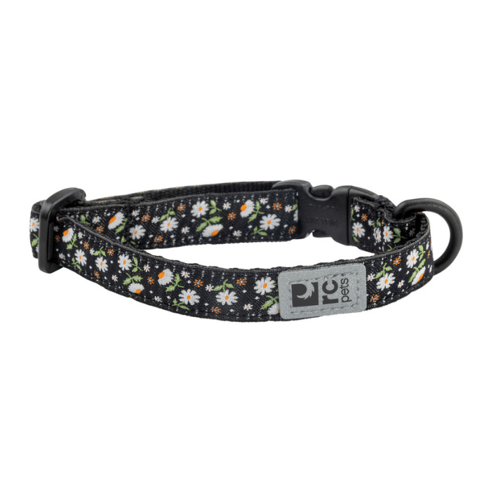 Rc Pets collier Daisies Collier pour chat Rc pets Kitty Breakaway Collier pour chat Rc pets Kitty Breakaway