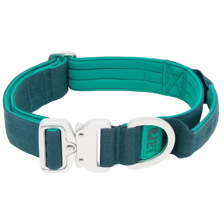 RC Pets Stratus collar in Deep Sea