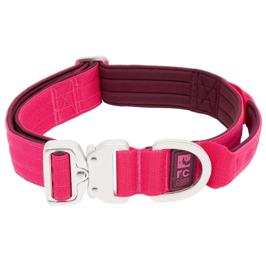 RC Pets Stratus collar in Azalea