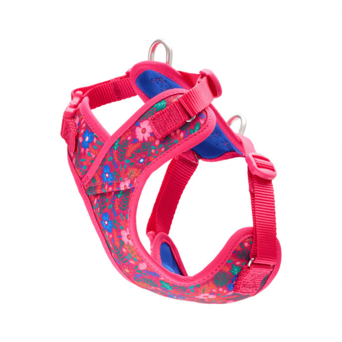 Rc Pets Harnais Harnais RC Pets Explorateur pour petit chien - Frida Harnais RC Pets Explorateur pour petit chien - Frida