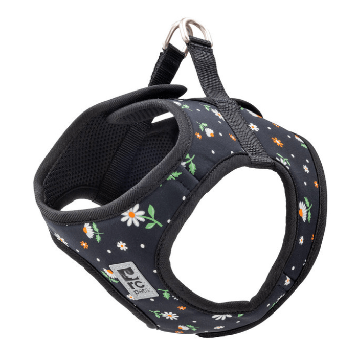 Rc Pets Daisies / XXS Harnais step-in cirque Harnais step-in cirque