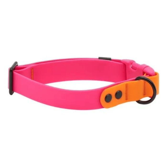 Rc Pets Laisse Collier imperméable pour chiens Rc Pets Azalea/Orange