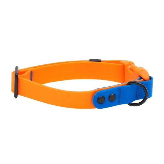 Rc Pets Laisse Collier imperméable pour chiens Rc Pets Orange/Saphire
