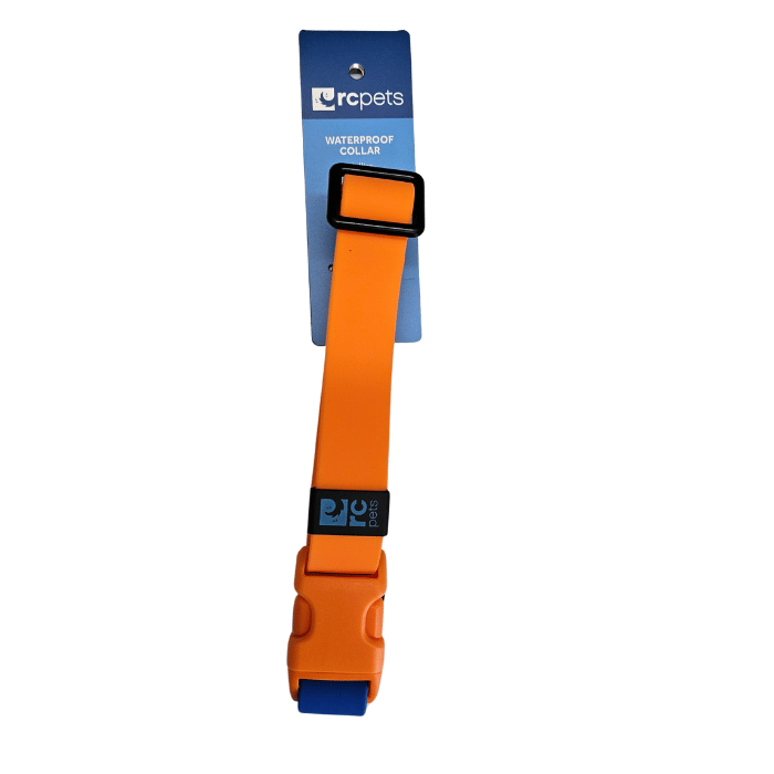 Rc Pets Laisse Collier imperméable pour chiens Rc Pets Orange/Saphire