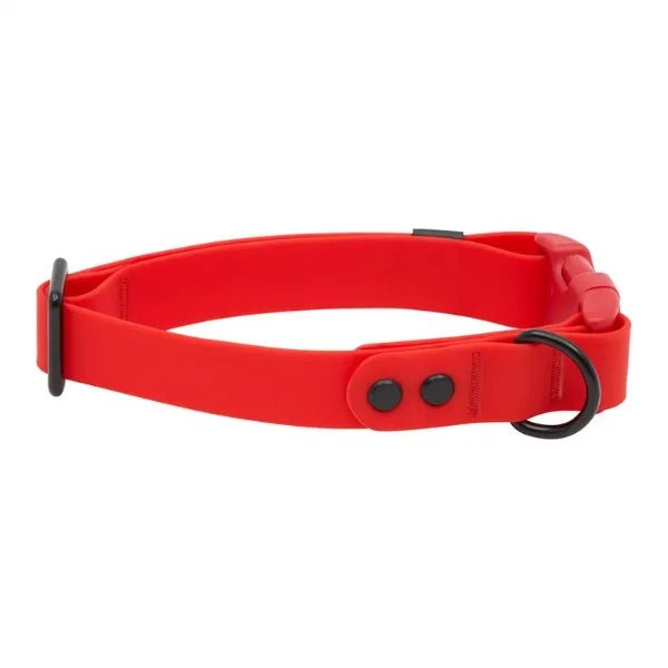 Rc Pets Laisse Collier imperméable pour chiens Rc Pets Rouge