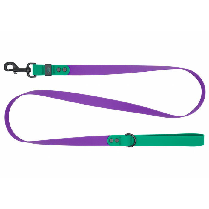 Rc Pets Laisse Laisse imperméable pour chiens Rc Mauve/Perruche Laisse imperméable pour chiens Rc Mauve/Perruche