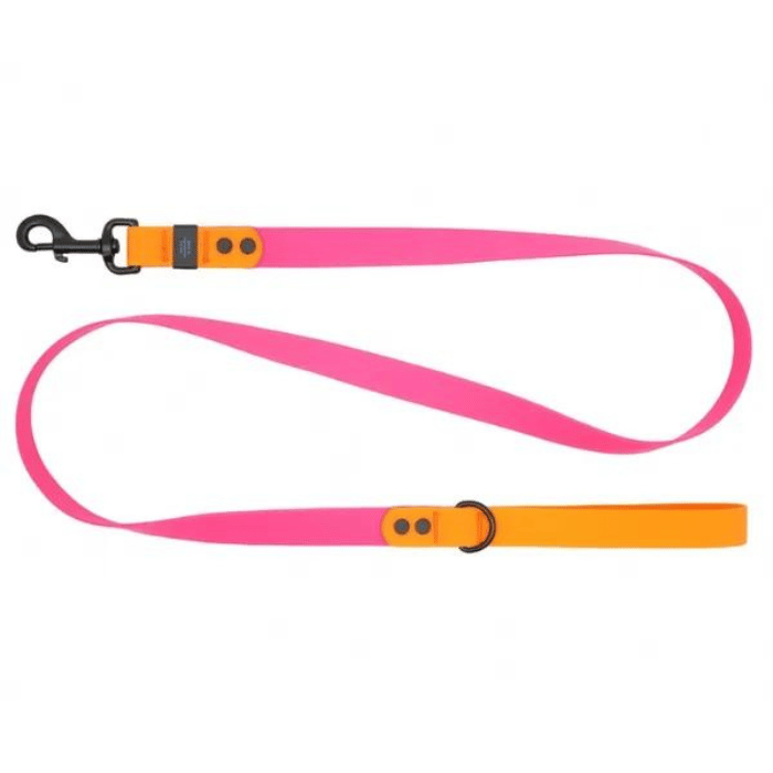 Rc Pets Laisse Laisse imperméable pour chiens Rc Pets Azalea/Orange