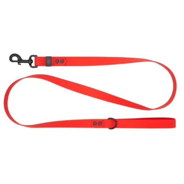 Rc Pets Laisse Laisse imperméable pour chiens Rc Pets Rouge