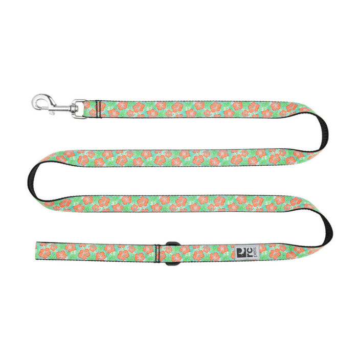 Rc Pets Laisse Laisse pour chiens Rc Pets Mahalo Laisse pour chiens Rc Pets Mahalo