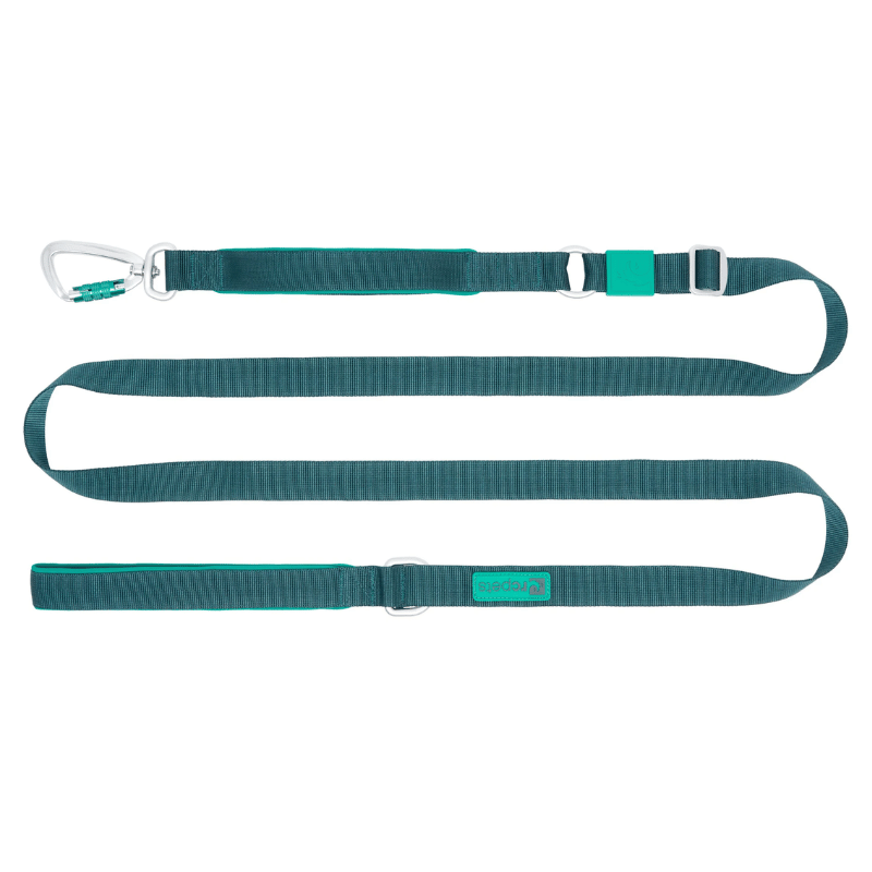 RC Pets Laisse Laisse Stratus - RC Pets Laisse Stratus - RC Pets | Sherbrooke Canin