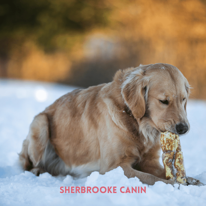 Redbarn Gâteries Roulades De Joues De Boeuf Glacé, Saveur D'arachides