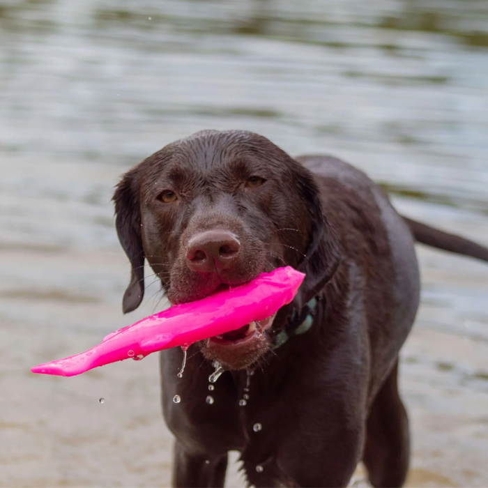 Ruff Dawg jouets pour chien Jouet flottant pour chiens Flying Fish RuffDawg Jouet flottant pour chiens Flying Fish RuffDawg