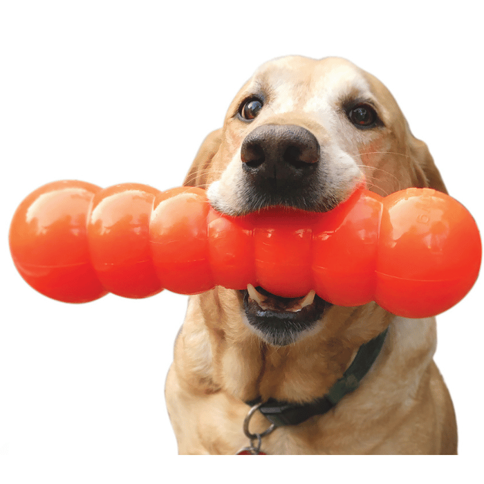 Ruff Dawg jouets pour chien Jouet pour chiens Buster indestructible Big Dawg