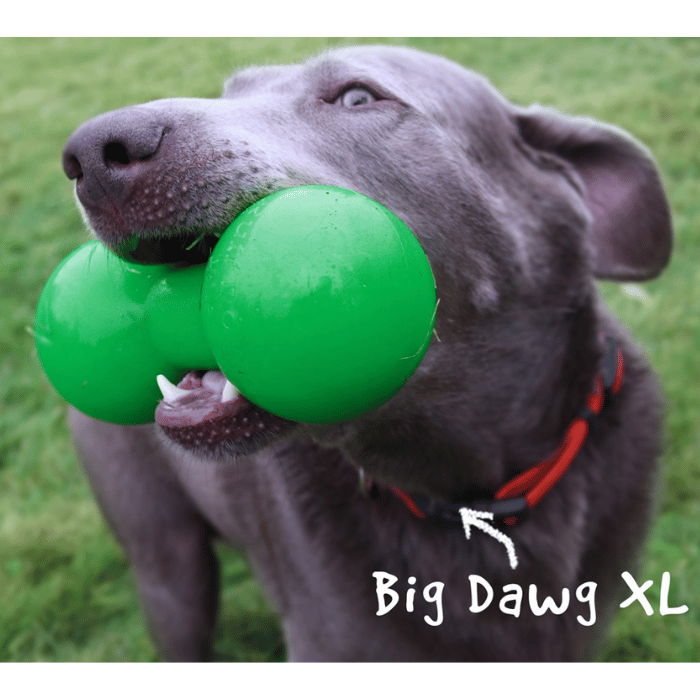 Ruff Dawg jouets pour chien Jouet pour chiens Haltère indestructible Big Dawg