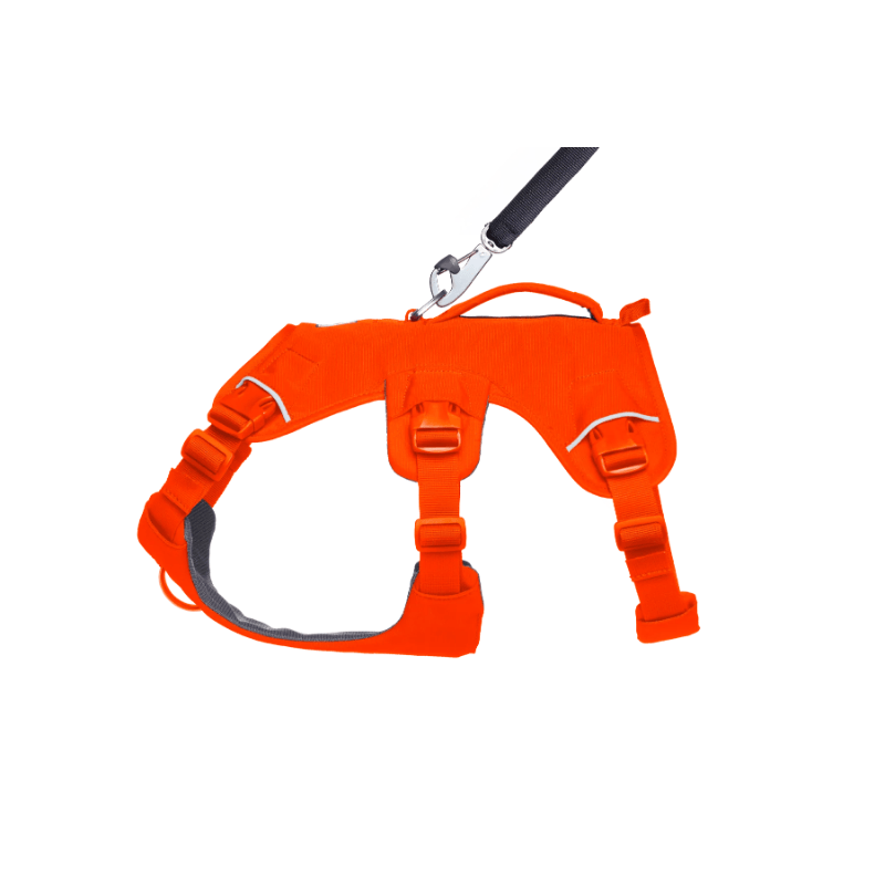 Ruffwear Web Master Harness - Blaze Orange - detail 1