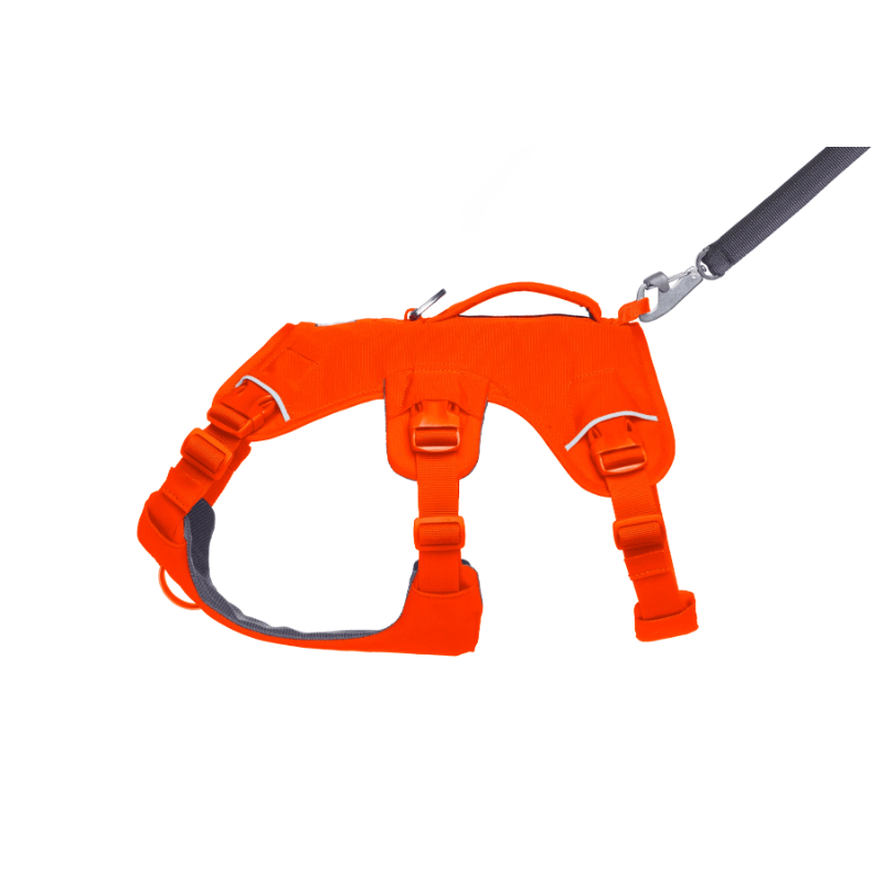 Ruffwear Web Master Harness - Blaze Orange - detail 2