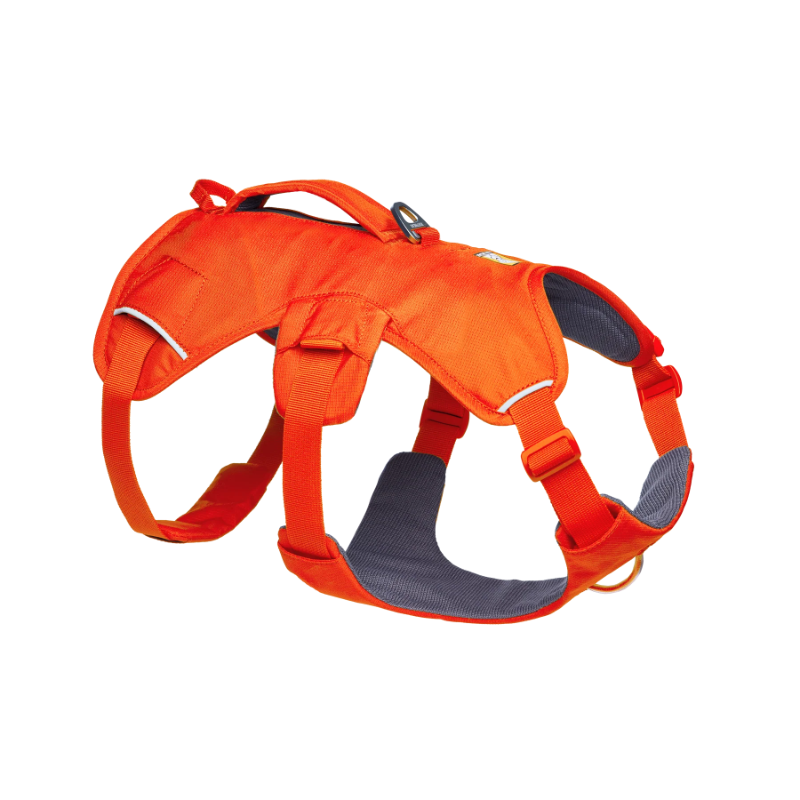 Ruffwear Web Master Harness - Blaze Orange - 3/4 right view