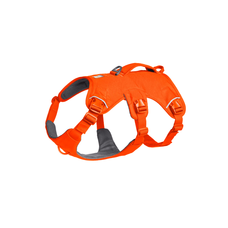 Ruffwear Web Master Harness - Blaze Orange - 3/4 left view