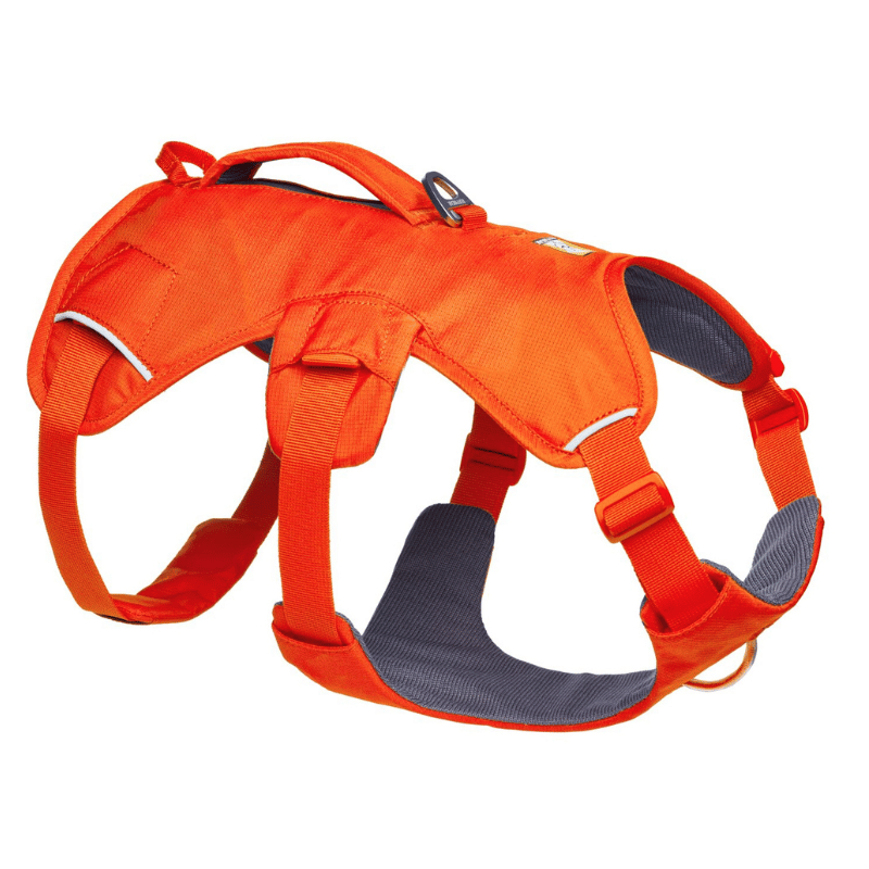 Ruffwear Harnais Harnais Ruffwear Web Master - Blaze Orange Harnais Ruffwear Web Master - Blaze Orange