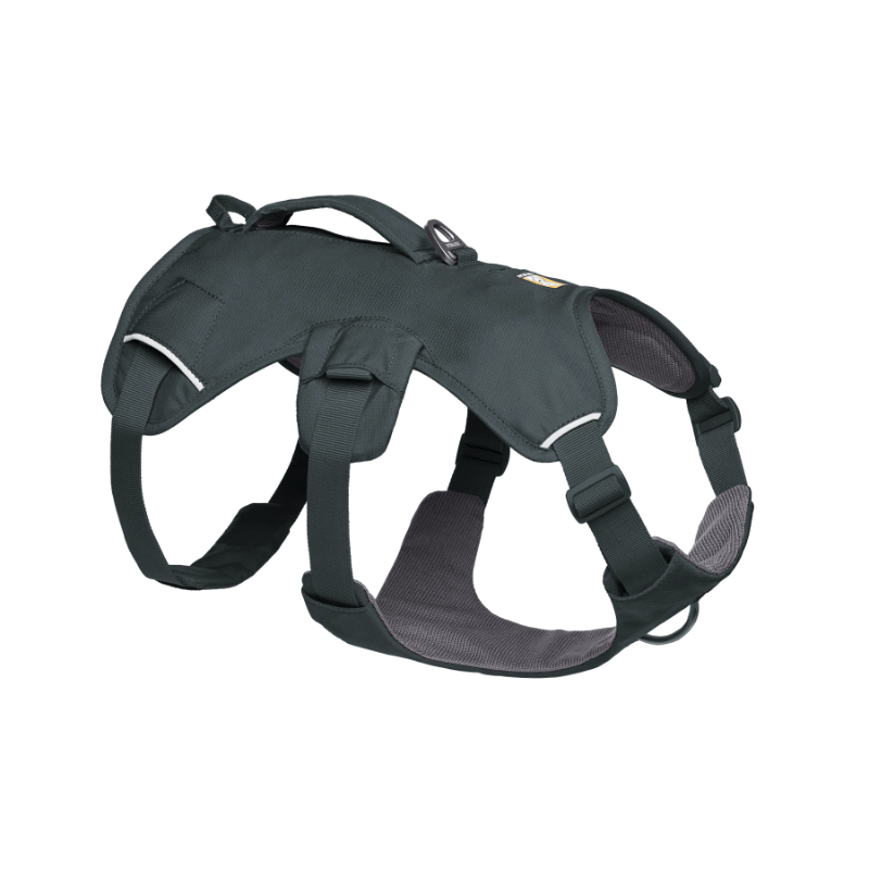 Ruffwear Web Master Harness - Basalt Gray - 3/4 right view