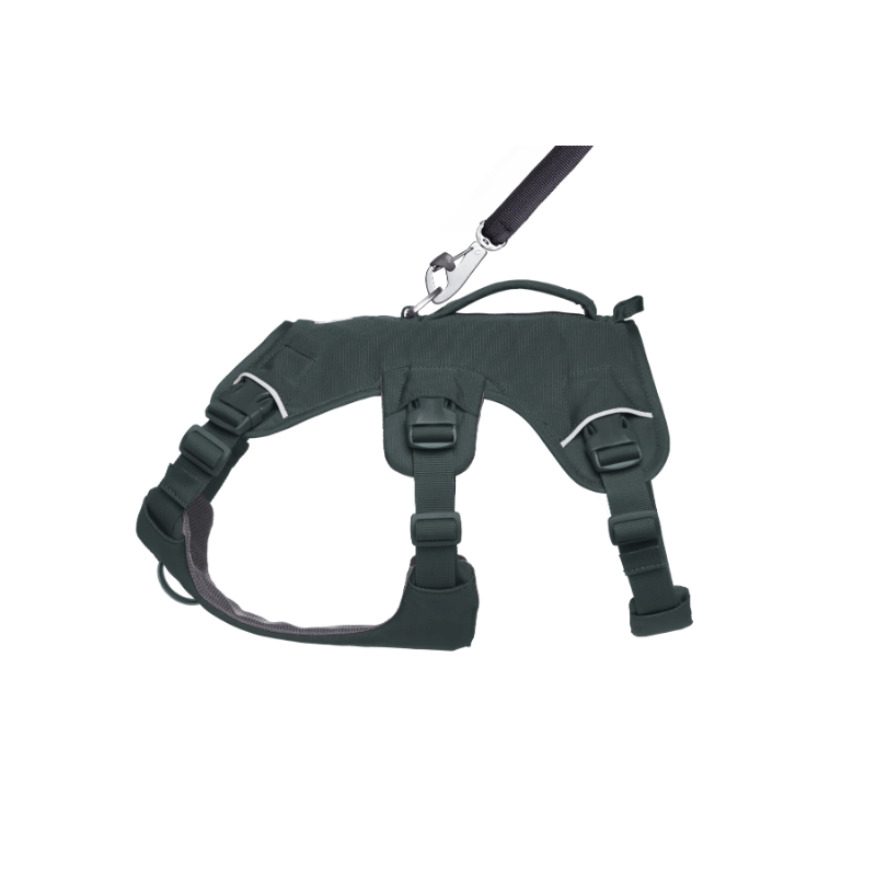 Ruffwear Web Master Harness - Basalt Gray - detail 1