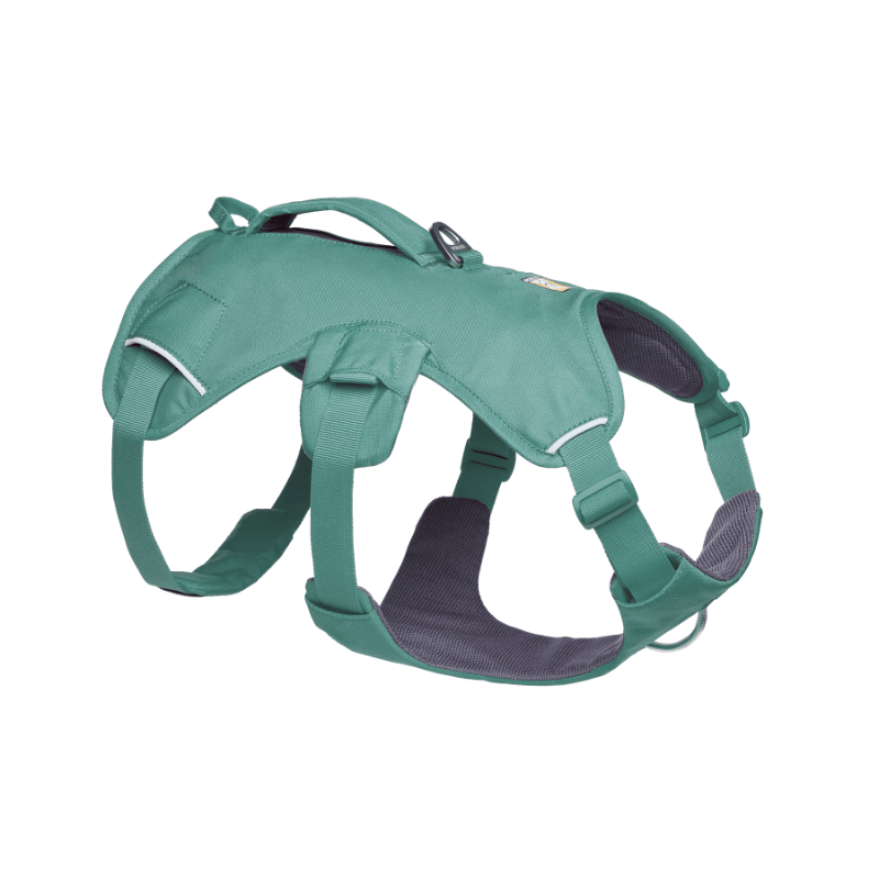 Ruffwear Harnais Small Harnais Ruffwear Web Master - River Rock Green Harnais Ruffwear Web Master - River Rock Green