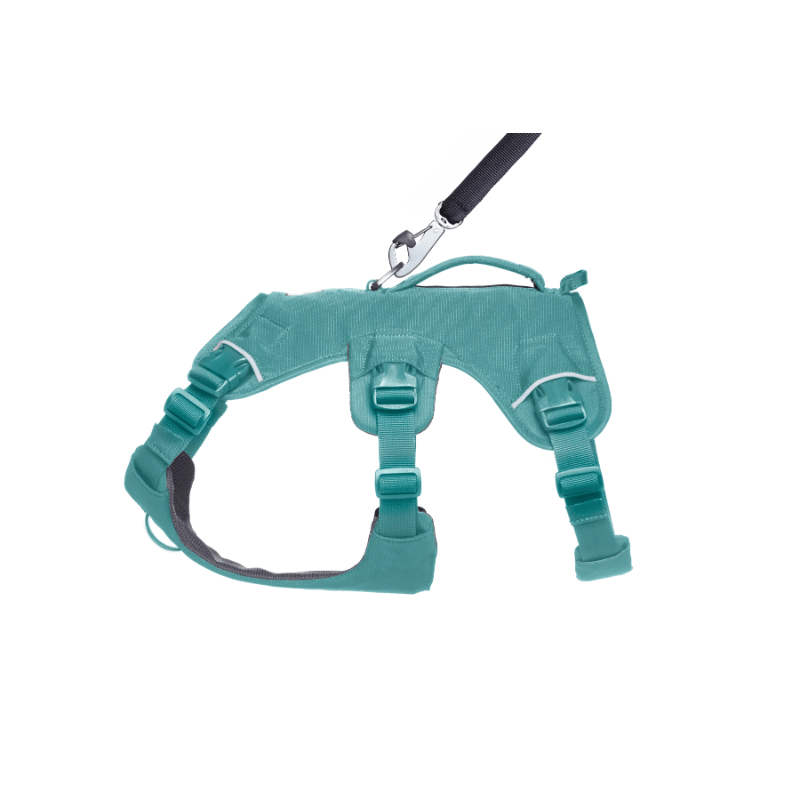 Ruffwear Web Master Harness - River Rock Green - detail 1