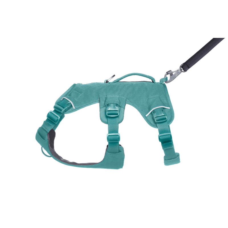 Ruffwear Web Master Harness - River Rock Green - detail 2