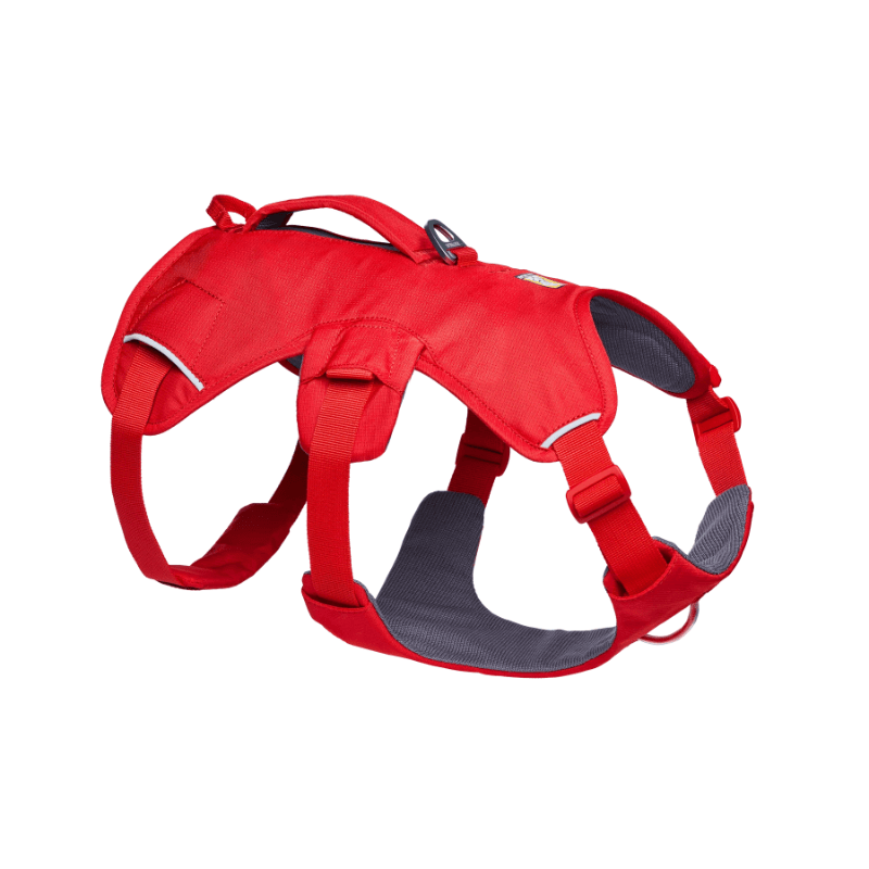 Ruffwear Harnais Harnais Ruffwear Web Master - Red Canyon Harnais Ruffwear Web Master - Red Canyon