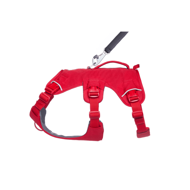 Ruffwear Web Master Harness - Red Canyon - detail 1