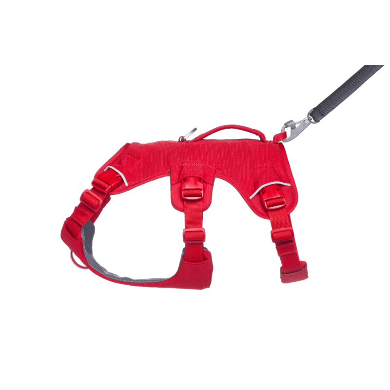 Ruffwear Web Master Harness - Red Canyon - detail 2