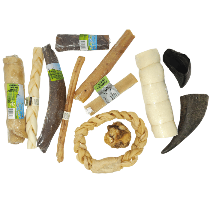 Sherbrooke Canin Boîte mastication ultra durable