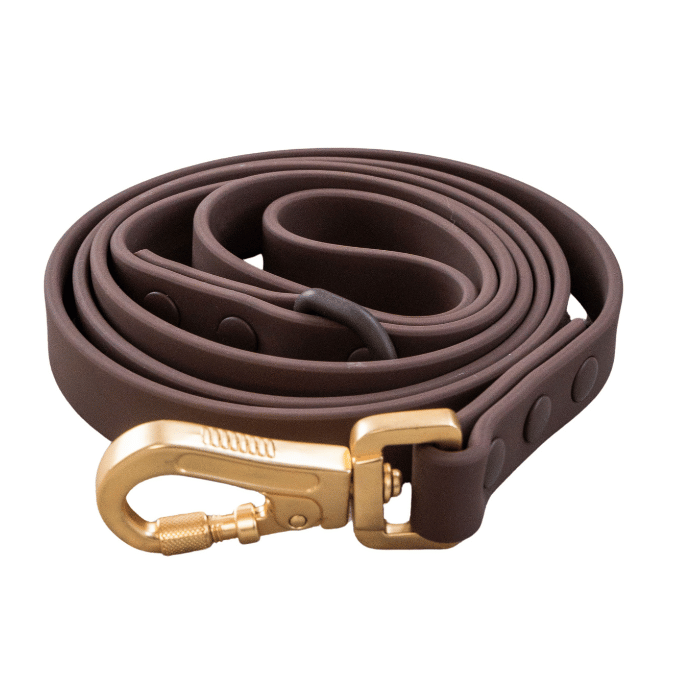 Sherbrooke Canin Dexypaws Laisse Imperméable Pour Chien, Couleur Espresso