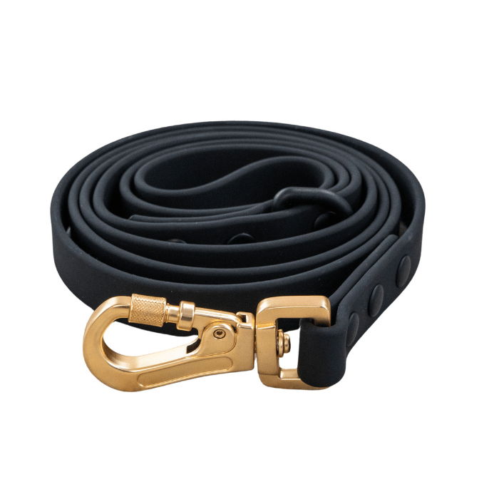 Sherbrooke Canin Dexypaws Laisse Imperméable Pour Chien, Couleur Noir