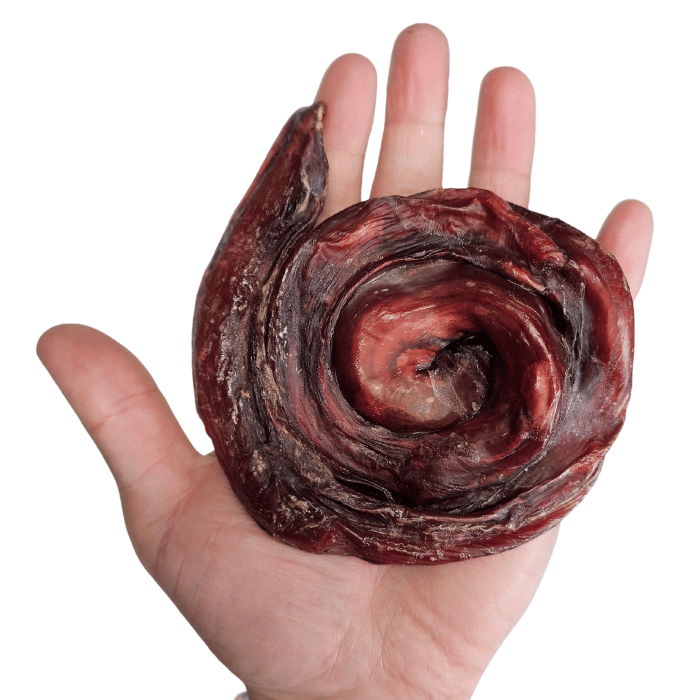 Sherbrooke Canin Format économique Gros Bully Buns  - Paquet de 10 Gros Bully Buns  - Paquet de 10