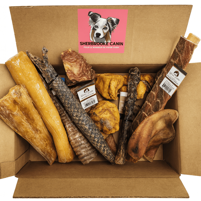 Sherbrooke Canin Gâteries Boîte De Mastication 100% Naturel Boîte De Mastication 100% Naturel
