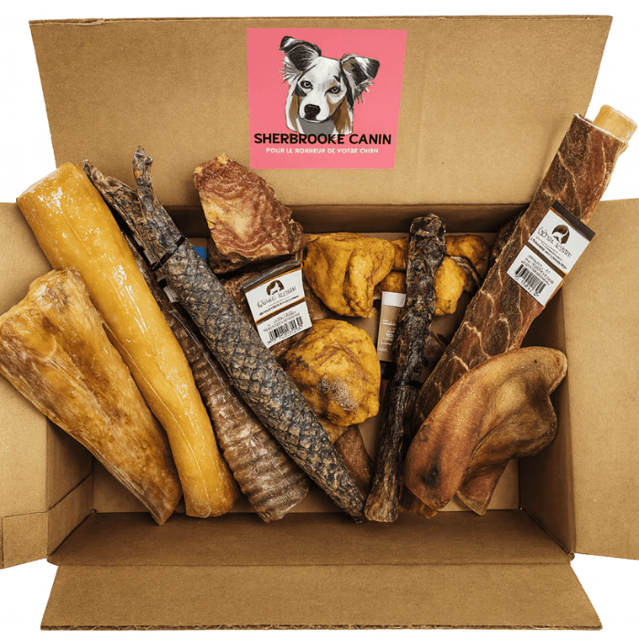 Sherbrooke Canin Gâteries Boîte De Mastication 100% Naturel Boîte de Mastication Naturelle pour Chien | Sur Mesure, 30 000+ Vendues - Sherbrooke Canin