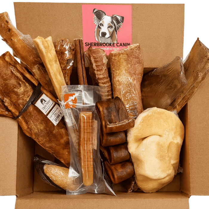 Sherbrooke Canin Gâteries Boîte De Mastication 100% Naturel Boîte de Mastication Naturelle pour Chien | Sur Mesure, 30 000+ Vendues - Sherbrooke Canin