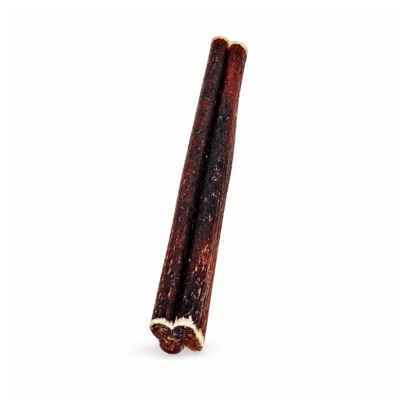 Sherbrooke Canin Odor-Free Beef Bully Stick 5-6'' Jumbo / Monster Odor-Free Beef Bully Stick 5-6'' Jumbo Monster for Dogs | Extra Dense, 100% Natural - Sherbrooke Canin