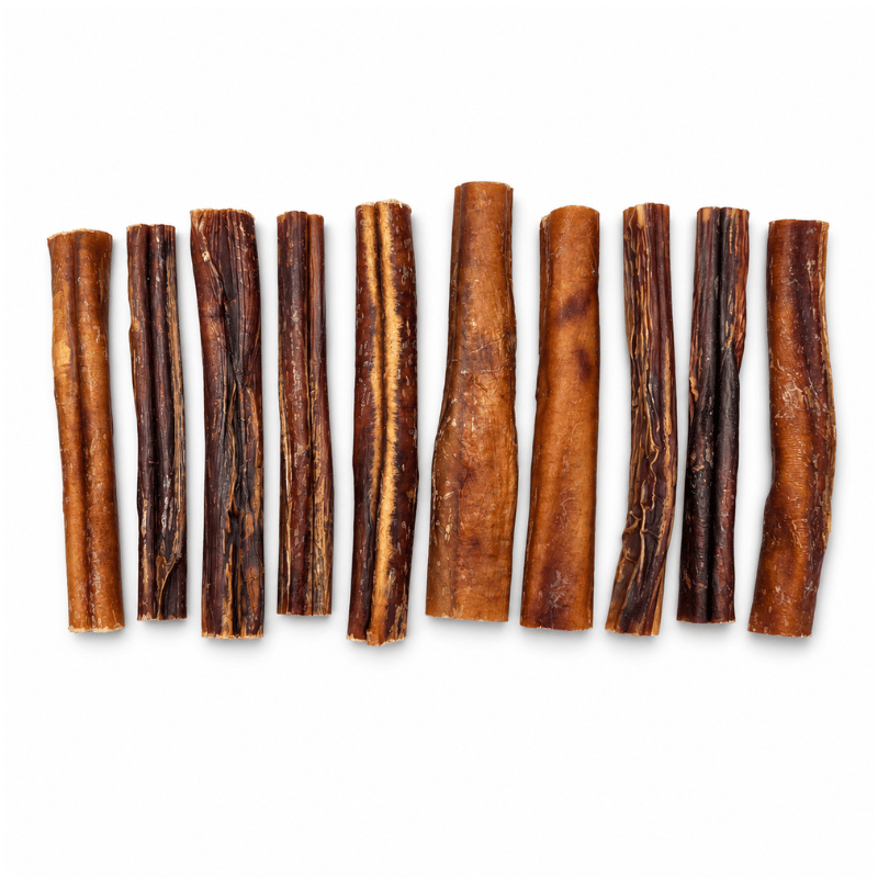 Sherbrooke Canin Gâteries Bully stick de boeuf sans odeur 5 à 6'' Jumbo / Monster - Paquet de 10 Bully Stick Jumbo Monster Sans Odeur 5-6'' | Grand Mâcheur, 100% Boeuf Naturel - Sherbrooke Canin