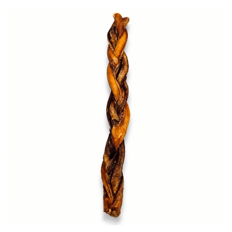 Sherbrooke Canin Gâteries Bully stick tressé de boeuf angus 12'' Bully Stick Tressé Bœuf Angus 12'' - Mastication Naturelle Canadienne