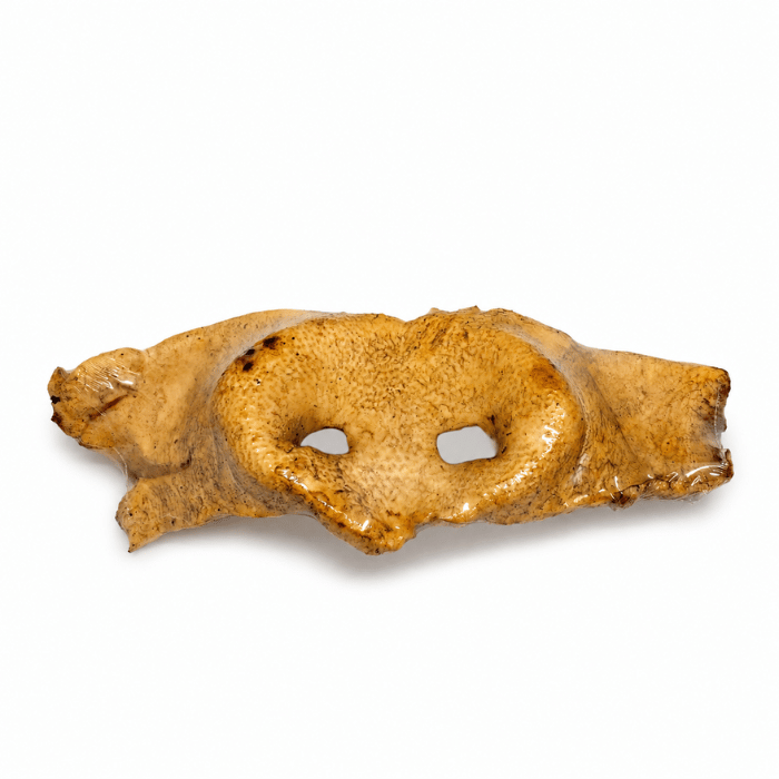 Sherbrooke Canin Gâteries Gros Nez de porc pour chien - Quantité limitée Nez de Porc pour Chien | 100% Naturel, Produit Québécois - Sherbrooke Canin