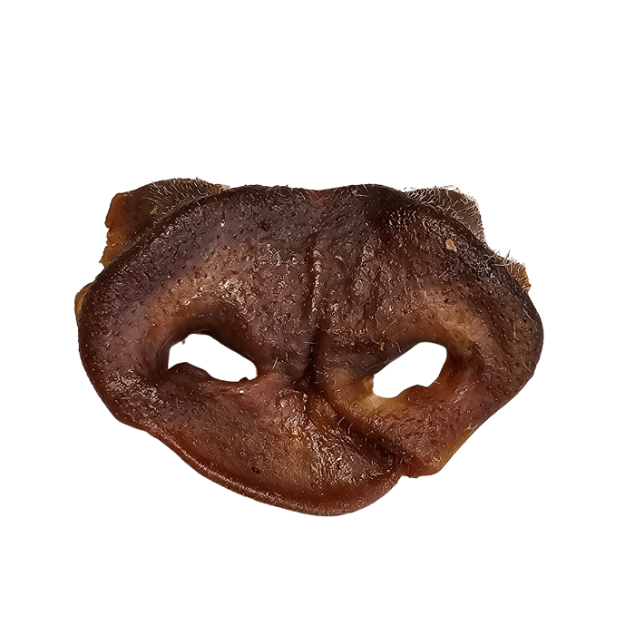 Sherbrooke Canin Gâteries Nez de porc déshydraté