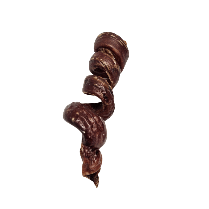 Sherbrooke Canin Gâteries Oesophage de porc en spirale 5 à 6'' Oesophage de porc en spirale 5 à 6''