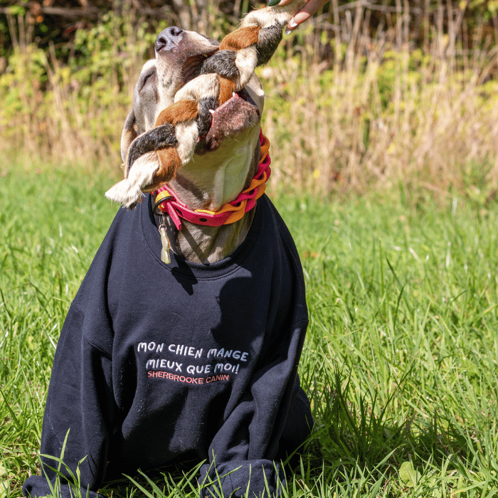 Sherbrooke Canin merch Crewneck - Mon chien mange mieux que moi - Sherbrooke Canin