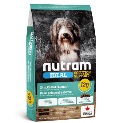Nourriture pour chiens