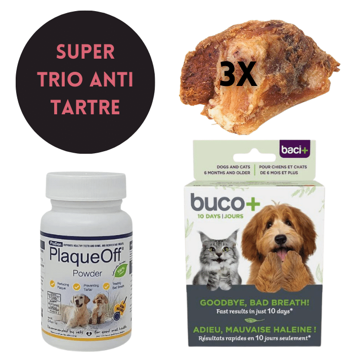 Sherbrooke Canin Super TRIO anti-tartre : Le Trio Gagnant pour des Dents Éclatantes