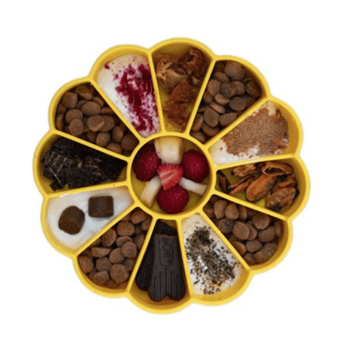 Sodapup bols pour chien Bol ralentisseur - Marguerite